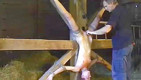 Live Feed - Insex Live Feed - Insex