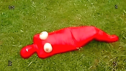 Insex Mummification