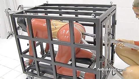 Toolthe Steel Cage Toolthe Steel Cage