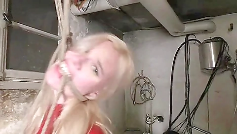 Vanessa 1 Vanessa 1